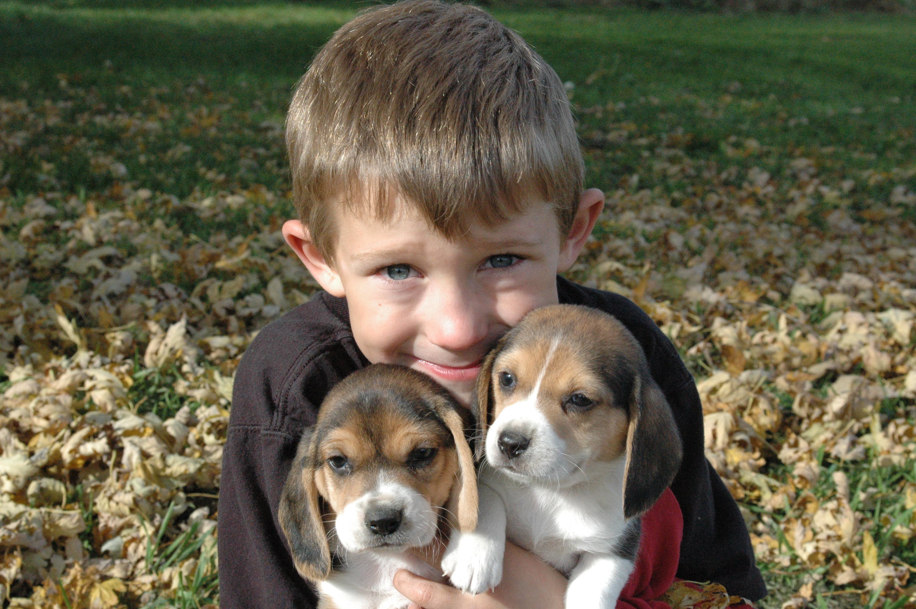 trey2pups